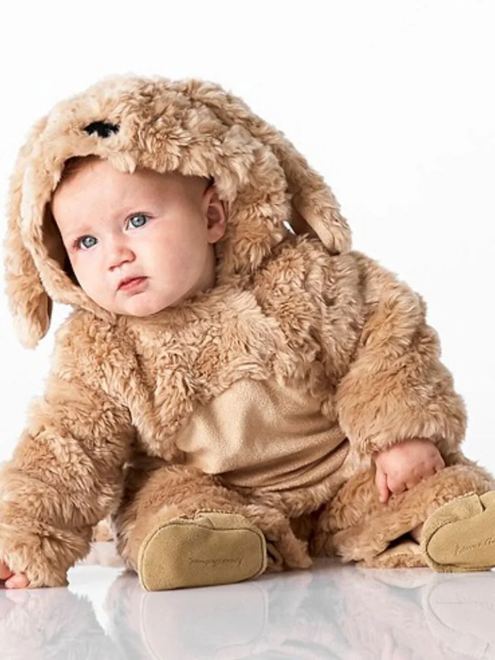 Pottery Barn Kids Baby Labradoodle Dog Halloween Costume 2024, Size 0-6m - Picture 2 of 10